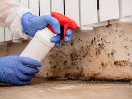 Best Attic Mold Removal  in St Georges, DE